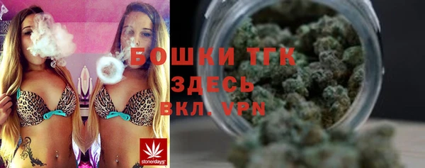 твердый Дмитриев