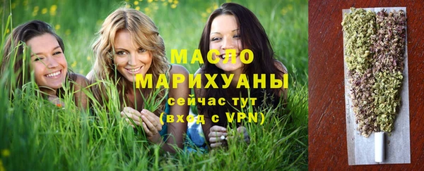твердый Дмитриев