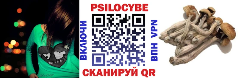 купить закладку  Новоуральск  Псилоцибиновые грибы MAGIC MUSHROOMS 