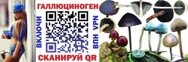 Псилоцибиновые грибы GOLDEN TEACHER Новоуральск